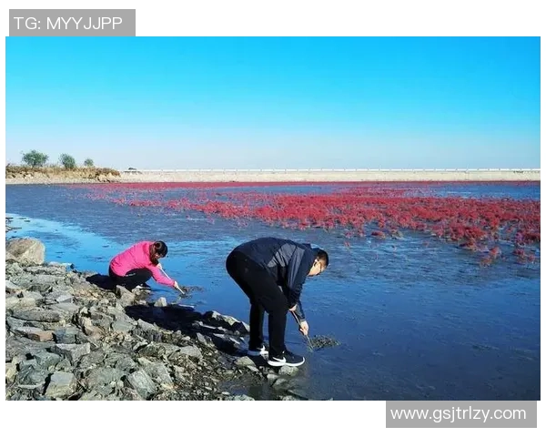 青春足球明星的追梦之路与无法回归的时光记忆 青春足球明星的追梦之路与无法回归的时光记忆