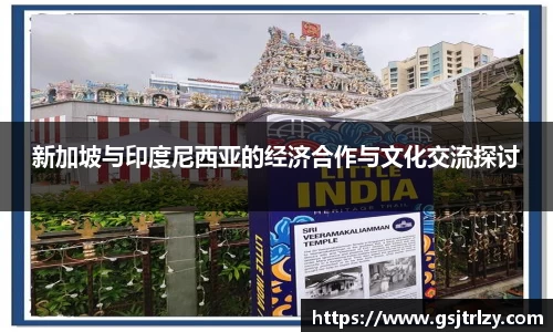 新加坡与印度尼西亚的经济合作与文化交流探讨